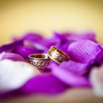 IMG_7347 IMG_7347