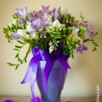 IMG_7436 IMG_7436