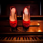 IMG_6460 IMG_6460