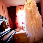 IMG_6462 IMG_6462